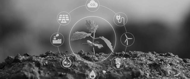 Orgulho de receber a certificação ISO 14001