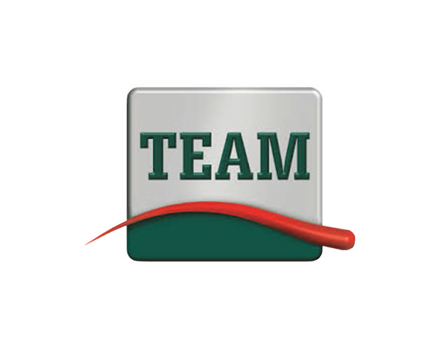 Team