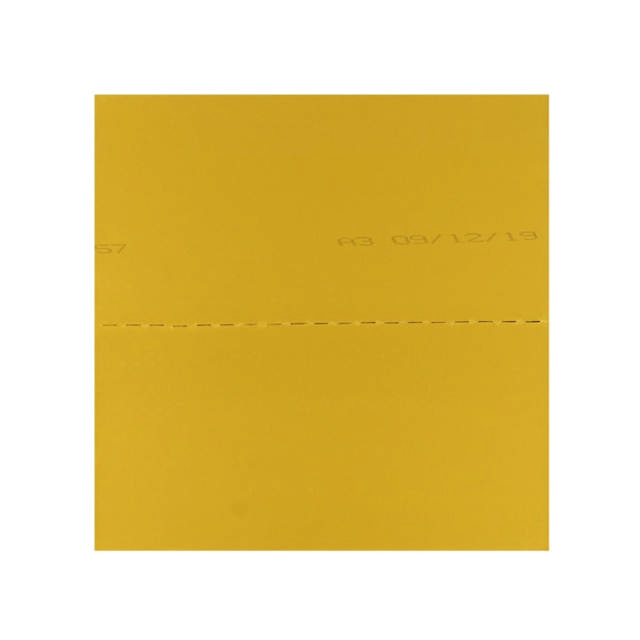 WAP 10 - Plaques insonorisantes 50cm x 50cm 10p.